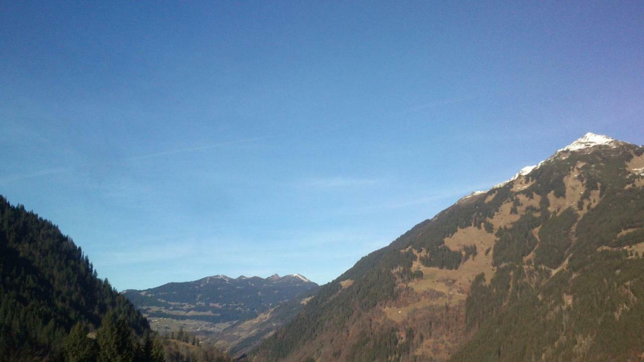 Villa Neuberg Alm à Sankt Gallenkirch Extérieur photo