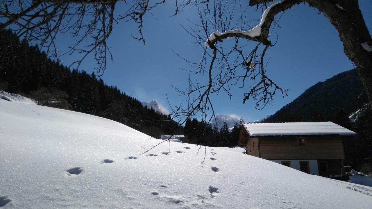 Villa Neuberg Alm à Sankt Gallenkirch Extérieur photo